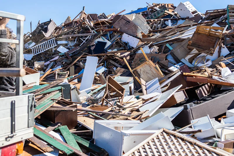 Innovative Solutions for Timber Waste Recycling