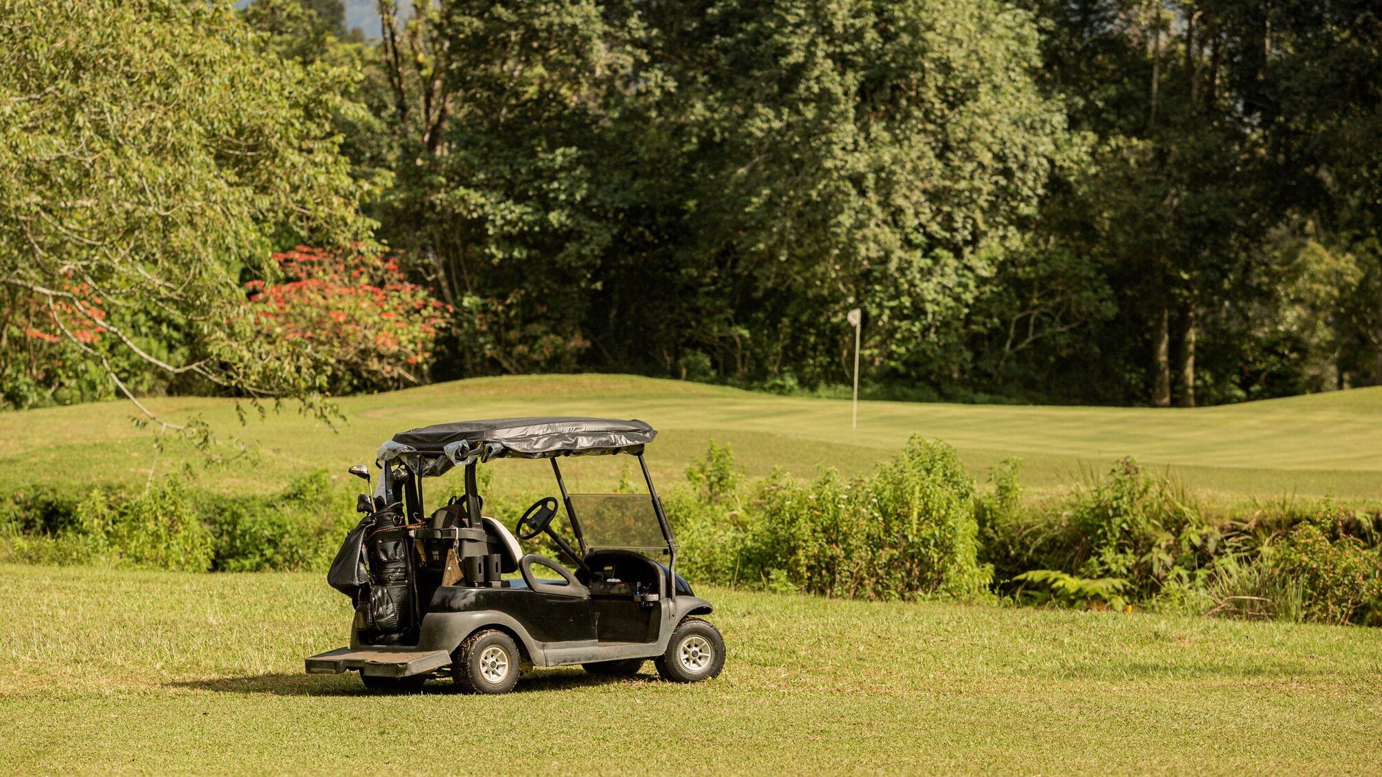 Golf Buggy Won’t Start?