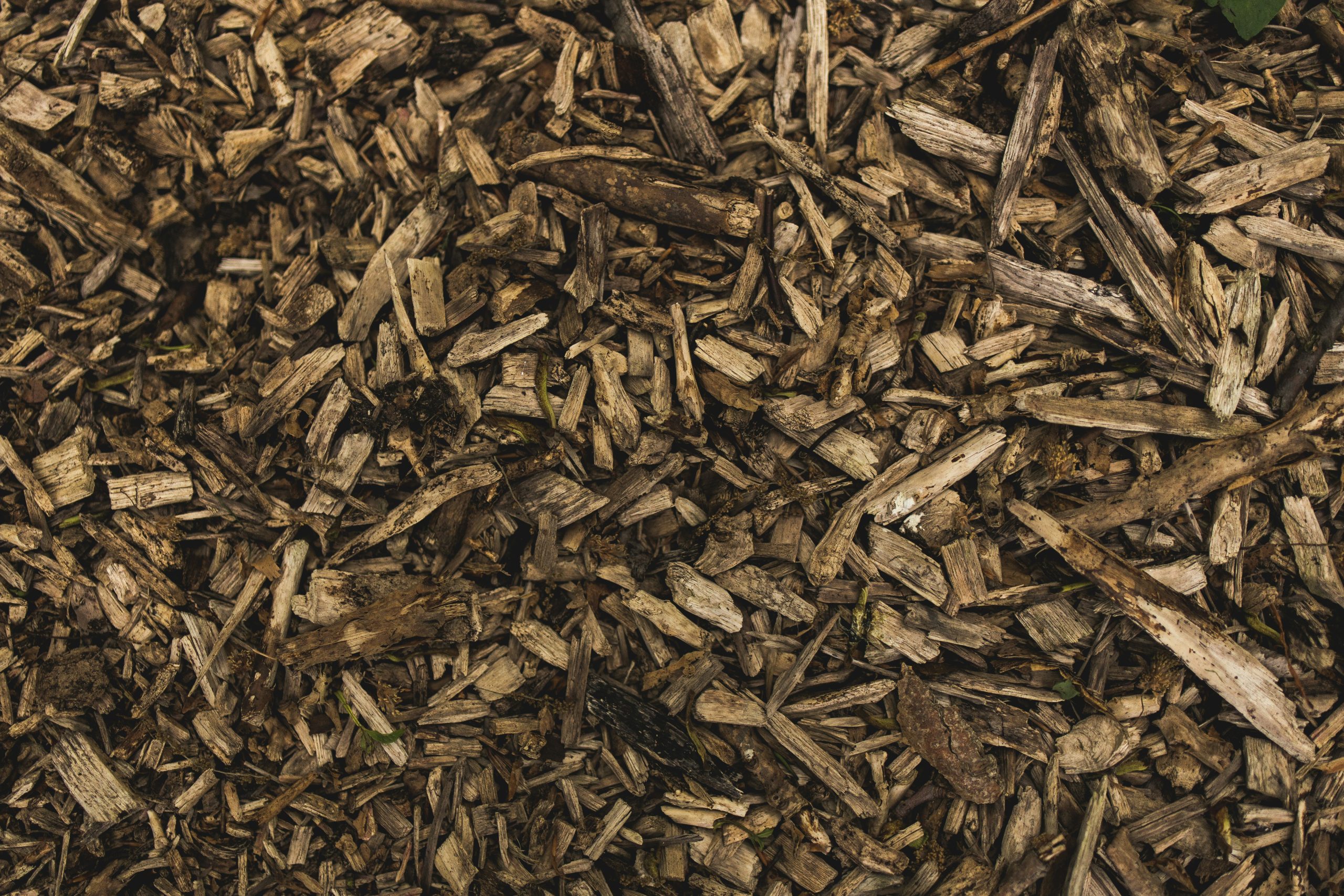 How Much Does Mulch Blowing Cost in Brisbane?